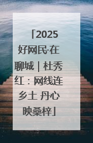 2025好网民·在聊城｜杜秀红：网线连乡土 丹心映桑梓