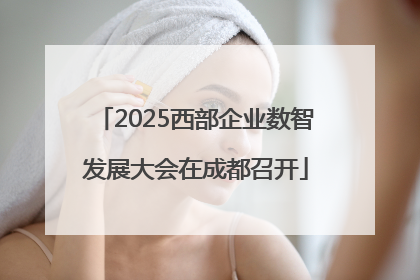 2025西部企业数智发展大会在成都召开