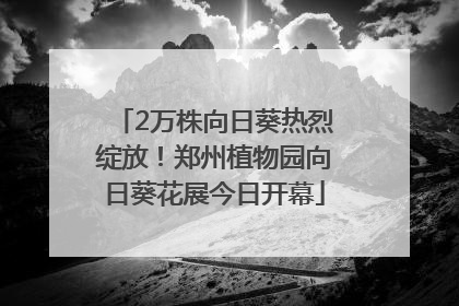 2万株向日葵热烈绽放！郑州植物园向日葵花展今日开幕