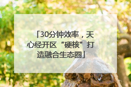 30分钟效率，天心经开区“硬核”打造融合生态圈
