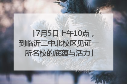 7月5日上午10点，到临沂二中北校区见证一所名校的底蕴与活力