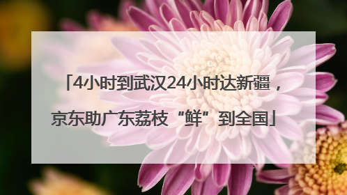 4小时到武汉24小时达新疆，京东助广东荔枝“鲜”到全国