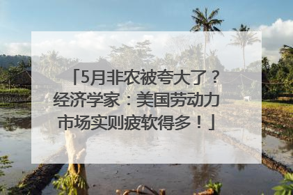 5月非农被夸大了？经济学家：美国劳动力市场实则疲软得多！
