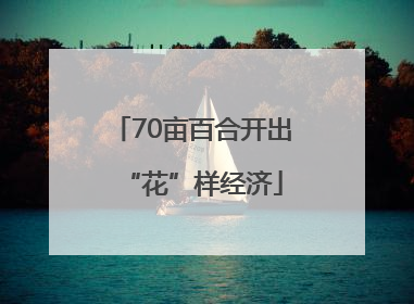 70亩百合开出“花”样经济