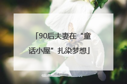 90后夫妻在“童话小屋”扎染梦想