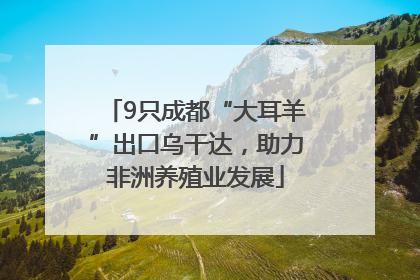 9只成都“大耳羊”出口乌干达，助力非洲养殖业发展