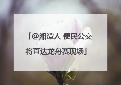 @湘潭人 便民公交将直达龙舟赛现场