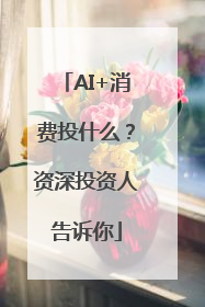 AI+消费投什么？资深投资人告诉你