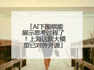 AI下围棋能展示思考过程了！上海这款大模型已对外开源