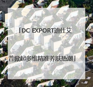 DC EXPORT迪仕艾普掀起多维精准养肤热潮