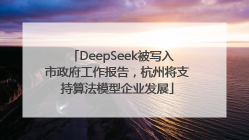 DeepSeek被写入市政府工作报告，杭州将支持算法模型企业发展