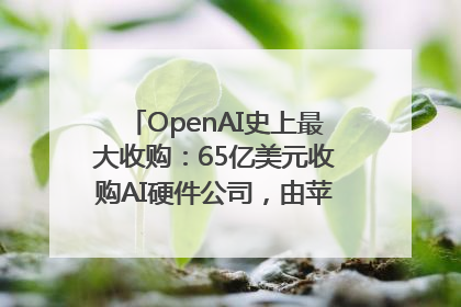 OpenAI史上最大收购：65亿美元收购AI硬件公司，由苹果前设计总监创办